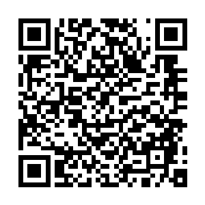 陪我的时间还不够塞牙缝呢r里不是请了两个专门带孝的保姆吗二维码生成