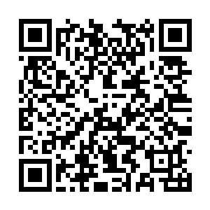 陶保田和蒋兴兰夫妻也硬着头皮去问亲戚朋友借过二维码生成