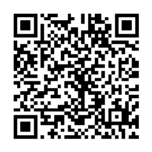 陶家已经和同样作为海神殿顶尖势力之一的摩西家族联姻了二维码生成