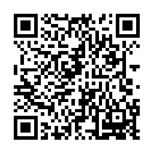 陶家开出的如此过分的条件我们龟族怎么可能答应二维码生成