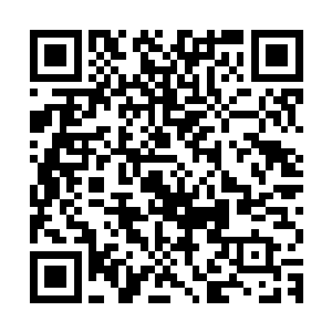 隋珠公主这般岁数了都敢嚷着让皇帝陛下做牛做马跪在地上背她二维码生成