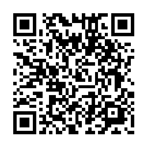 随他过去的普陀赵金刚也是绿林中一等一的好手二维码生成