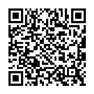 随便一巴掌也能拍死他们这些一文不名的小侍卫二维码生成