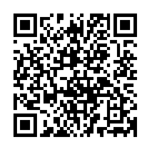 随便哪一个拿出来都叫她如此的绝望――那种感觉非常叫人抓狂二维码生成