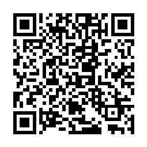 随便找了一家旅馆住了进去我的名模总裁最新章节二维码生成