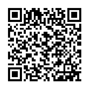 随即一个个带着几分惋惜和同情的目光看向剑尘二维码生成