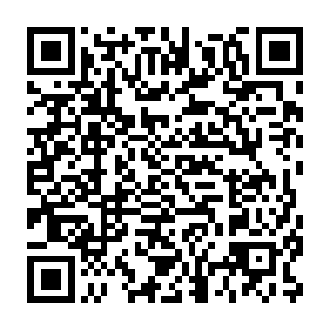随即之前发生的一系列的事情也是在两个帝君高手的脑海中回放着二维码生成