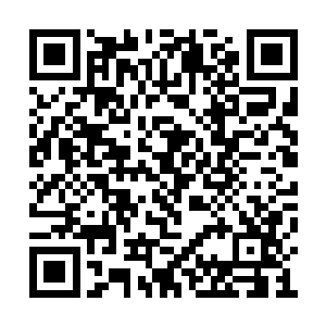 随即便以一种很舒服的姿势坐在叶笑房间地板上二维码生成
