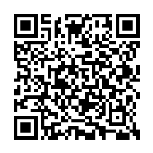 随即几个身材曼妙的蒙面女人从大殿上袅袅而来二维码生成