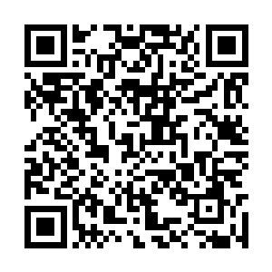 随即却是看到落日等人都不由地集体打了一个寒颤二维码生成