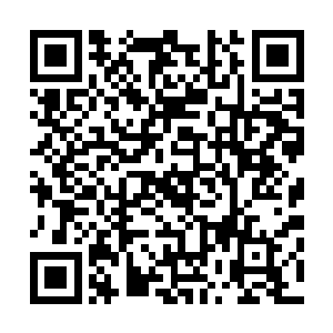 随即可出来的就是萧摇从保仁医院调出来当助手的医生护士二维码生成