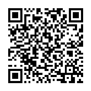 随即就有几个年轻的守卫快速的将宋濂直接抬了起来二维码生成