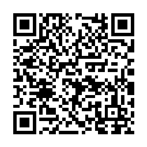 随即意念一动铺天盖地的气势也是消失的无影无踪二维码生成