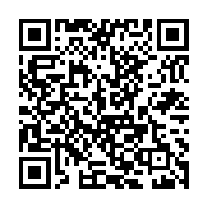 随即扭头看了看跟着楚楚走过来的江少游和哈利一眼二维码生成