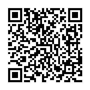 随即看着天道苦着一张脸陪在自己的身边和自己一起吃着水果二维码生成