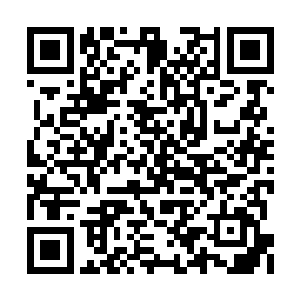 随即罗迪也拿出了自己的手机来刷了一遍二维码二维码生成
