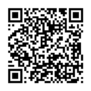 随即苏元也是带着一大家子去看望老爷子和老太太二维码生成