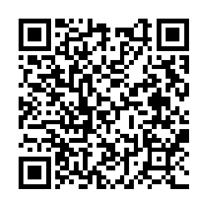 随即雨果就感觉到耳朵背后传来一阵热乎乎的呼吸二维码生成