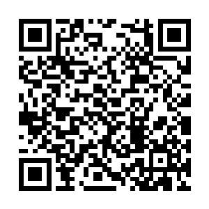 随即龙傲天的目光再一次落到了摩天的身上开口道二维码生成