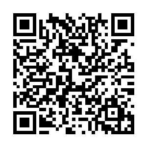 随后一脸怒容的无悔突然是呵呵呵呵呵的笑了起来二维码生成