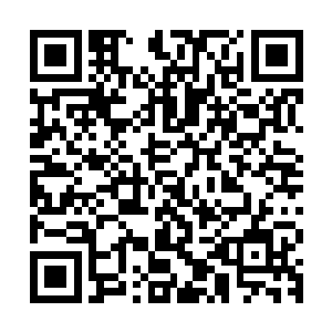 随后一行人的目光最后不约而同的落到了大殿中央的祭坛的方向二维码生成