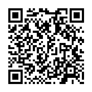 随后从皮肤褶皱间渗透出了一颗颗粉红色的血珠二维码生成