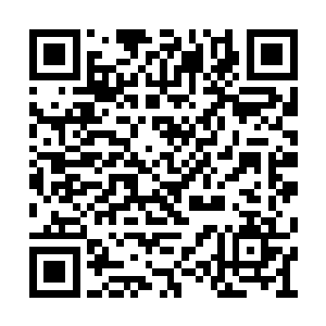 随后会议的讨论范围又回到了野蛮人海盗团上面二维码生成