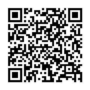 随后便有内官和宫婢上前伺候皇帝和公主上了软轿二维码生成