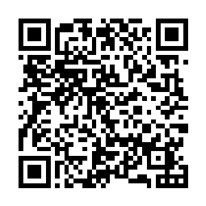 随后便见他这神界的天穹上竟然忽然裂开了一条条的裂缝二维码生成