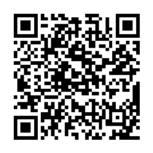 随后便见那本来是主持整场拍卖的紫焱也同样双眼泛红二维码生成