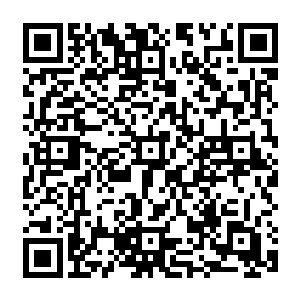 随后便见那被楚旬魔化分身给生生砸塌的山丘废墟竟然就如同一个巨型炸弹一样轰然爆开二维码生成