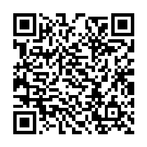 随后出现的许德拉还有龙天行更是令他异常的惊骇二维码生成