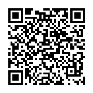 随后命令身旁的管家直接将王克轻轻抬回了自己的房间中二维码生成