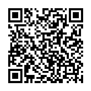 随后夏天将桌子上的菜和盘子全都放在了水槽子里面二维码生成