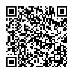 随后大长老和二长老又跟杨戬说了一些其他的之后三个人再一次回到了包厢之中二维码生成