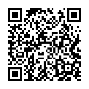 随后将司机安放在了山林中的一处鸟不拉屎的地方二维码生成