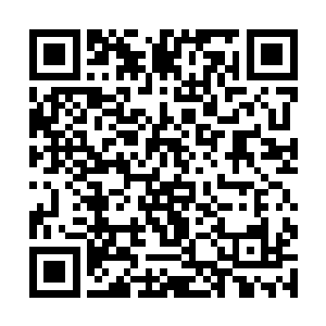 随后就是一段扭曲的光线被植物根系狠狠地抽了出来二维码生成