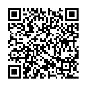 随后已经提升到地煞境十重天的浩然正气全力爆发二维码生成