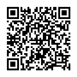 随后所有人全都感觉自己的脚下地面也是跟着一颤二维码生成