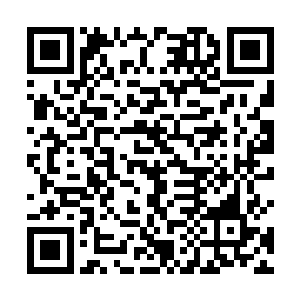 随后找了一个没人的地方直接将那个太上长老放了出来二维码生成