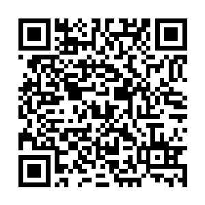 随后抱着被外面冷风吹得瑟瑟抖的身体蜷缩回沙上二维码生成