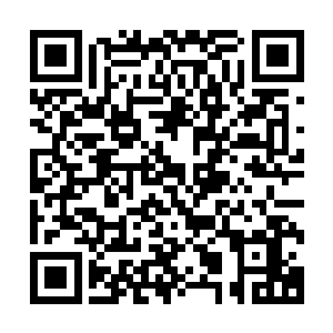 随后接下来龙傲天也在水月的带领下来到了锦鲤一族的藏宝库二维码生成
