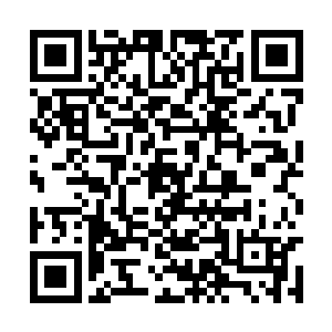 随后整个人的身形直接朝着龙傲天的身边飞掠而去二维码生成