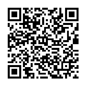 随后杨戬直接指了指一边的太上大长老和太上二长老开口道二维码生成