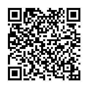 随后杨戬眼底也猛地爆射出一道恐怖的冲天的杀意二维码生成