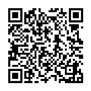 随后看见了地平线上那如同一块巨大荷包蛋一样的太阳二维码生成