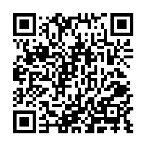 随后许紫烟将充分混合的四种草药碎末放进了炼丹炉内二维码生成