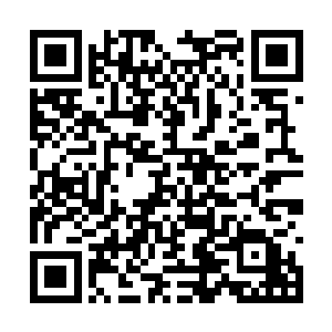 随后谢特首领喊来工作人员给大家做丢失物品登记二维码生成