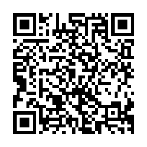 随后还不辞辛苦地从世界最强电竞国家韩国请来了两名高分援二维码生成