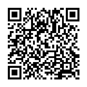 随在她左右的是两名外貌只有十七八岁的女弟子二维码生成